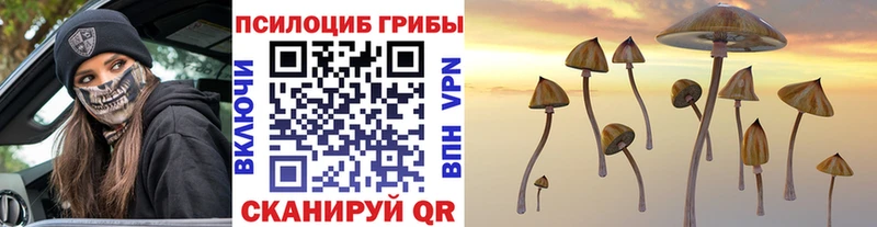 Галлюциногенные грибы Psilocybine cubensis  наркотики  Костомукша 